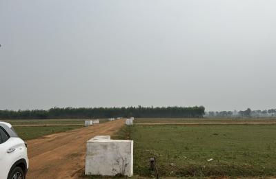 DRCP Approved Plots for Sale – Naidupeta